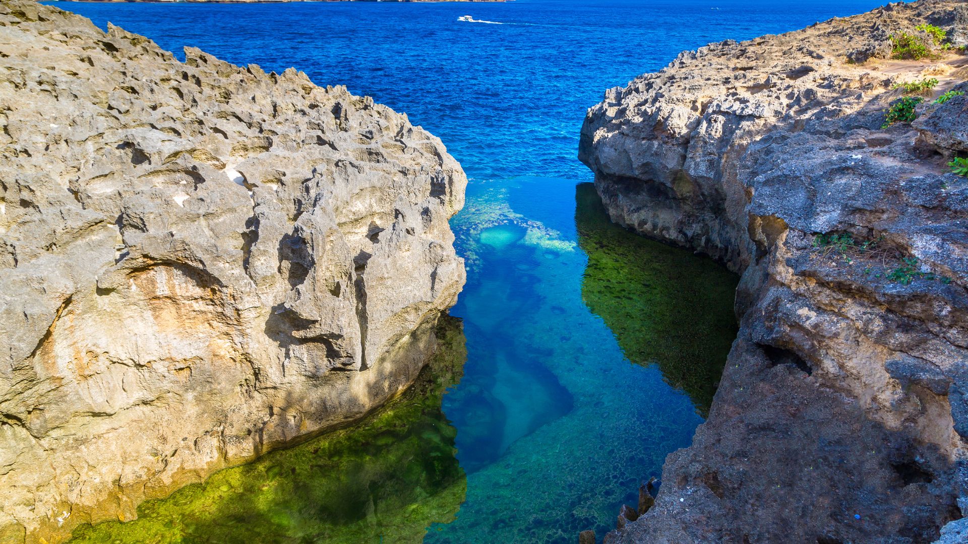 Island Inspiration 10